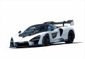McLaren Senna (2019-Present) Skid Plates